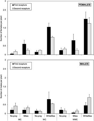 Dispersal and distribution of a generalist predator in habitats with multiple food resources